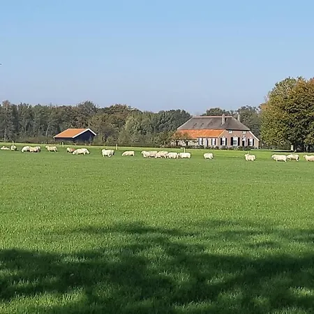 Joostink In Dom wakacyjny *