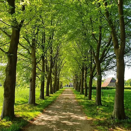 Dom wakacyjny Joostink In