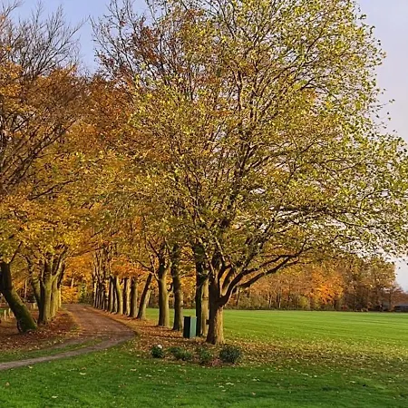 Joostink In Vorden
