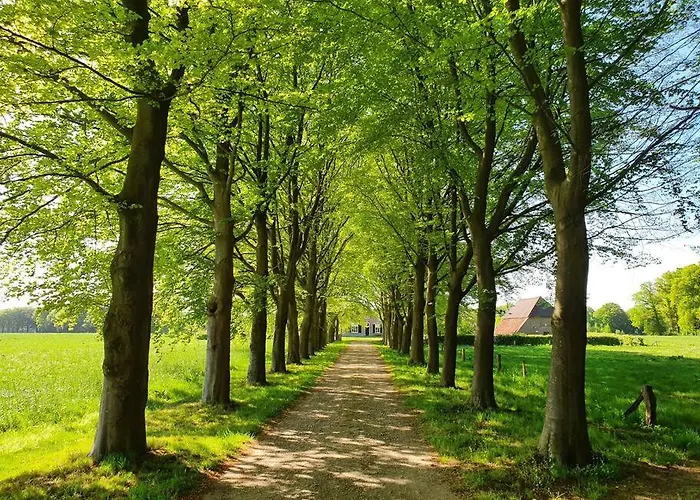 Semesterbostad Joostink In